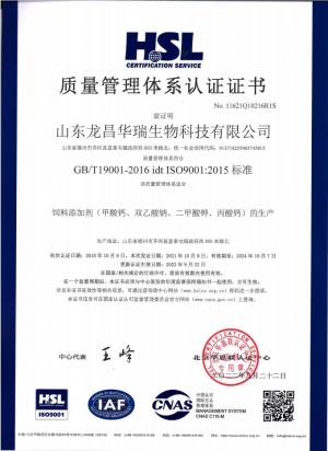 ISO9001质量体系管理认证证书